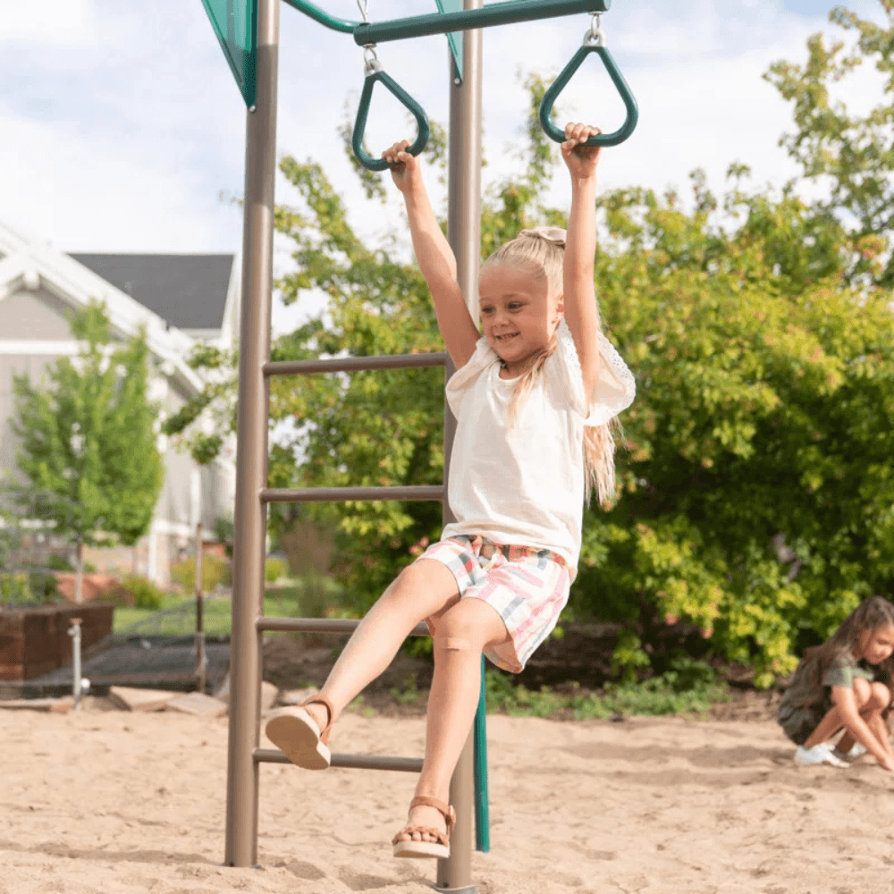 Lifetime Monkey Bar Adventure Steel Swing Set Playset