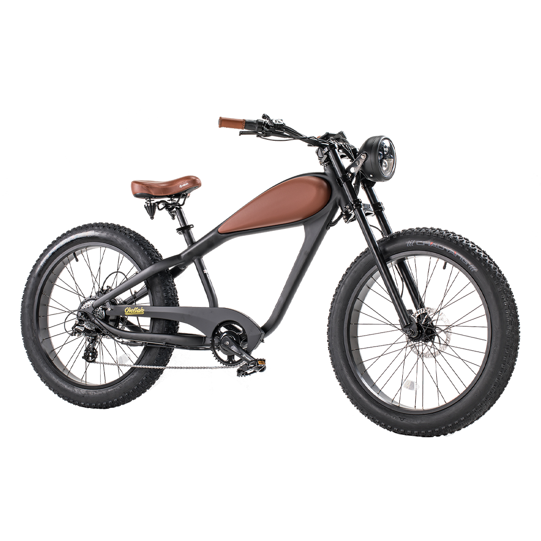 Revi Bikes Cheetah Fat Tire Electric Cruiser Bike 48V 750W
